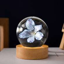 Load image into Gallery viewer, Dandelion Glowing Night Light Crystal Ball Eternal Flower Gift Wooden Birthday Gift for Girl
