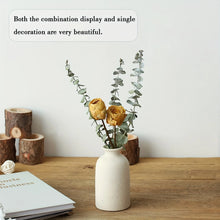 Load image into Gallery viewer, Rustic Farmhouse Ceramic Vase Set - Modern 3-Piece Collection