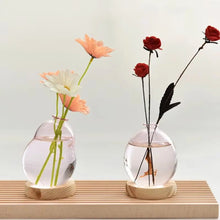 Load image into Gallery viewer, Modern Hydroponic Glass Vase - Elegant Wooden Base Accent