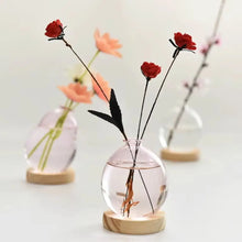 Load image into Gallery viewer, Modern Hydroponic Glass Vase - Elegant Wooden Base Accent