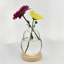 Load image into Gallery viewer, Modern Hydroponic Glass Vase - Elegant Wooden Base Accent