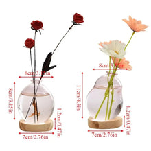 Load image into Gallery viewer, Modern Hydroponic Glass Vase - Elegant Wooden Base Accent
