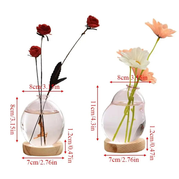Modern Hydroponic Glass Vase - Elegant Wooden Base Accent