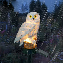 Load image into Gallery viewer, Solar LED Owl Animal Sculpture - Waterproof Landscape Ornament