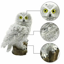 Load image into Gallery viewer, Solar LED Owl Animal Sculpture - Waterproof Landscape Ornament